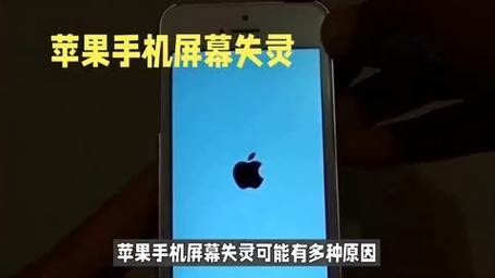 问题:苹果手机屏幕不动了 问题:苹果手机屏幕不动了