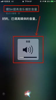 手机经常自动调节音量 手机经常自动调节音量