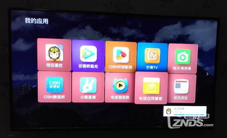 手机版电视猫怎么使用 手机版电视猫怎么使用