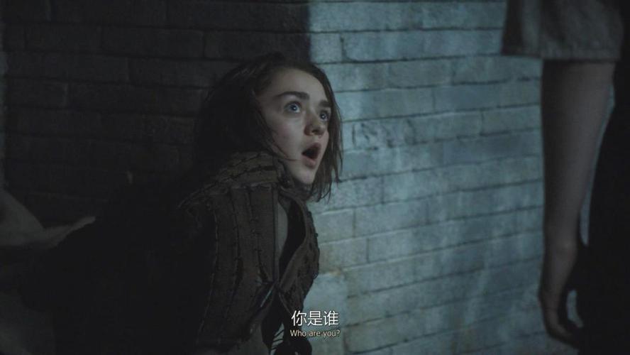 权利游戏的二丫头 权利游戏的二丫头