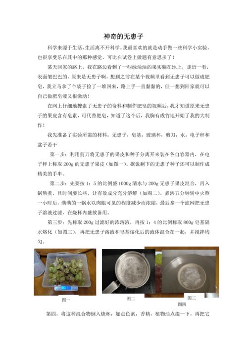科技小论文结构框架 科技小论文结构框架