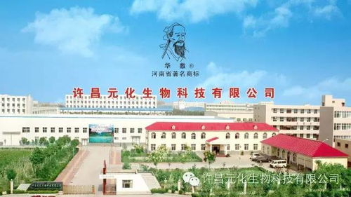 许昌晁昌科技有限公司怎么样 许昌晁昌科技有限公司怎么样