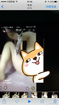 琪琪vlog 琪琪vlog
