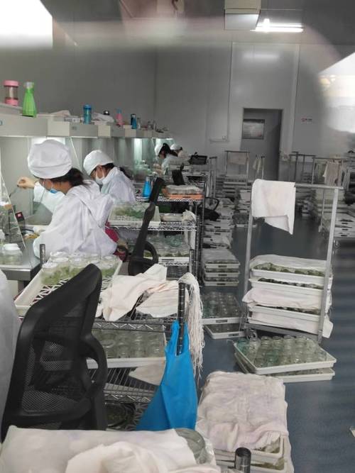 你有什么感想? 你有什么感想?