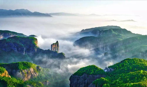 宝可梦大探险 世界第一游戏IP进中国 它需要你去氪出个未来 宝可梦大探险 世界第一游戏IP进中国 它需要你去氪出个未来