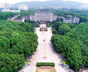 1.杨家军的背景介绍 1.杨家军的背景介绍