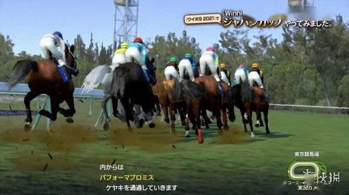 赛马娘山寨版风波日本玩家的热议与版权保护的反思 赛马娘山寨版风波日本玩家的热议与版权保护的反思