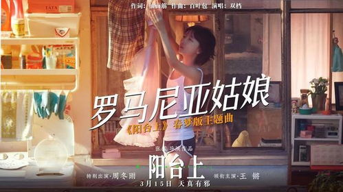 网络正义的边界胖猫事件女主的反击与曝光者的刑事处罚 网络正义的边界胖猫事件女主的反击与曝光者的刑事处罚