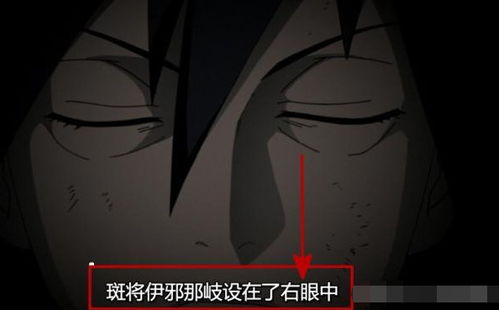 轮回眼与伊邪那岐斑的永恒之眼 轮回眼与伊邪那岐斑的永恒之眼