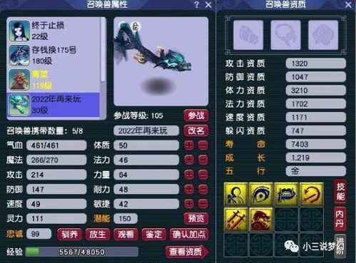 梦幻西游隐身套下的打图新策略——贼王喽啰不再召唤小怪 梦幻西游隐身套下的打图新策略——贼王喽啰不再召唤小怪