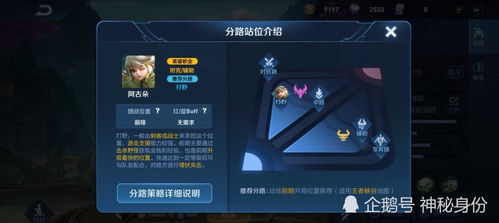 王者荣耀新篇章独立段位系统的长期挑战与机遇 王者荣耀新篇章独立段位系统的长期挑战与机遇