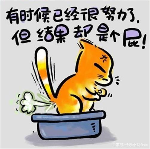 术士玩家的新快乐! 术士玩家的新快乐!