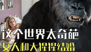 奇葩猩猩游戏创造奇迹的数字游戏 奇葩猩猩游戏创造奇迹的数字游戏