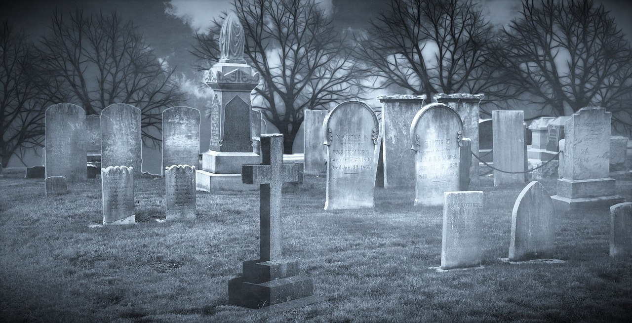 暗影之地的终结——沃金之死 暗影之地的终结——沃金之死