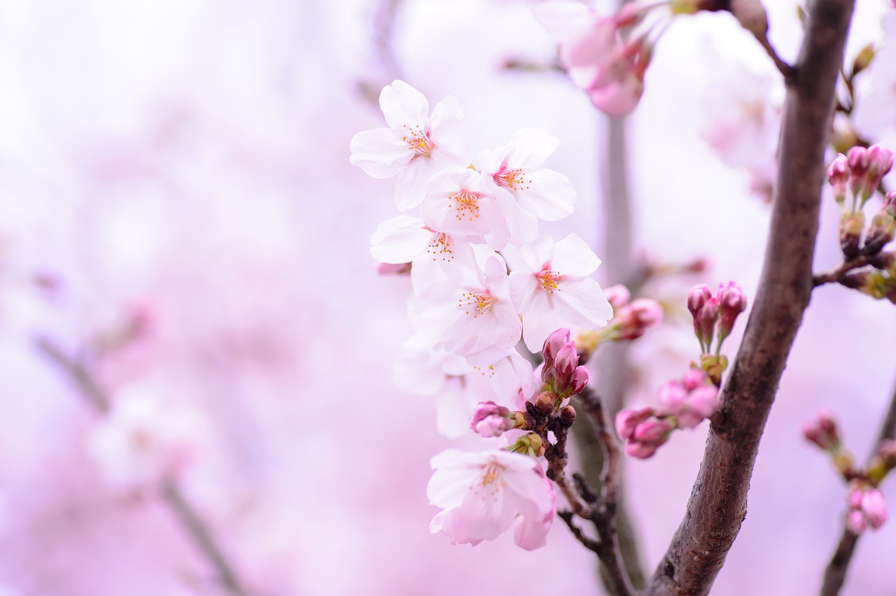 十月一日是什么日子? 十月一日是什么日子?