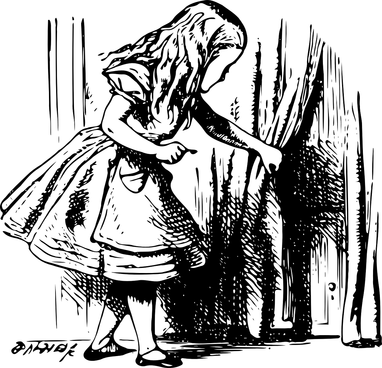 游学者周卓的故事 游学者周卓的故事