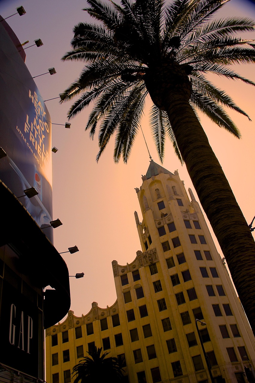 都市之游戏人生，在喧嚣中寻得精神净土