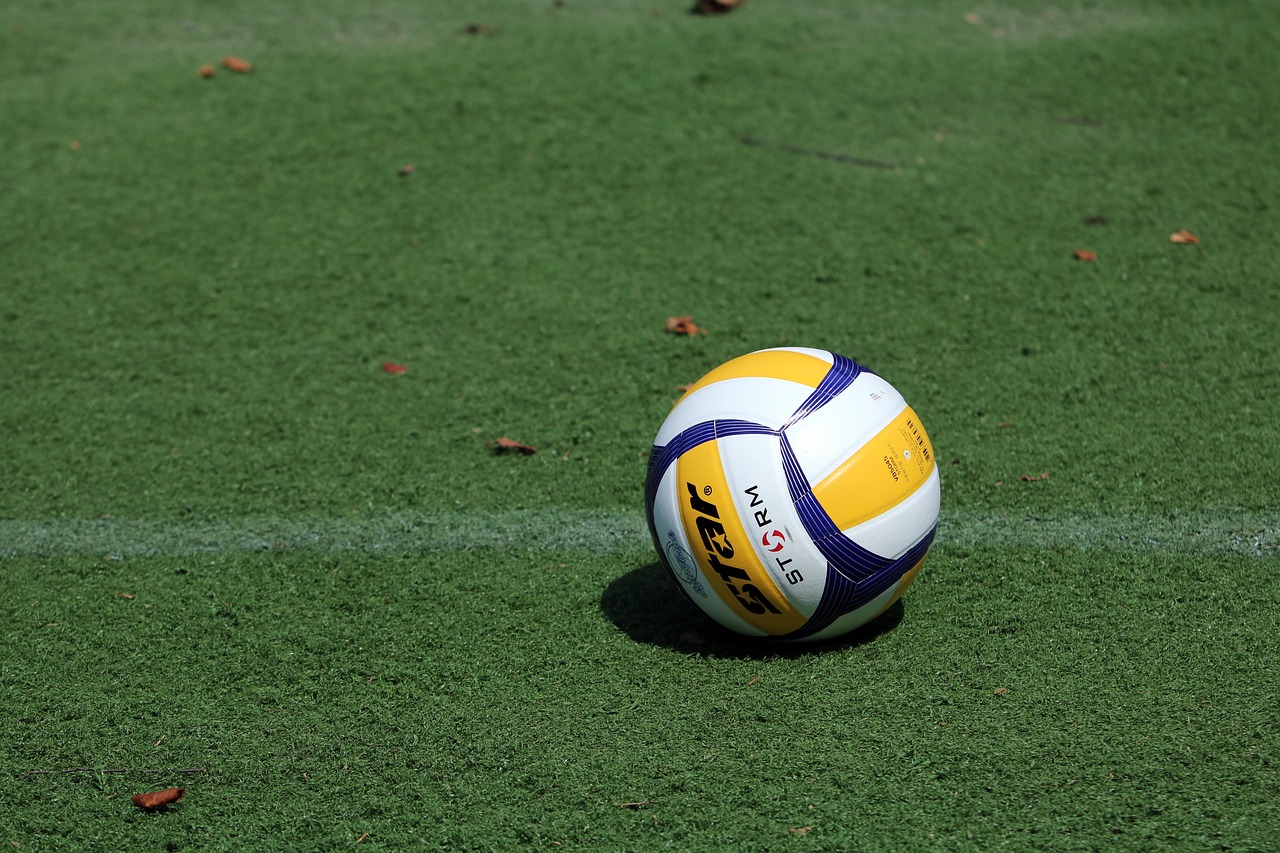 打乒乓球游戏大全，一场充满趣味与策略的快乐之旅