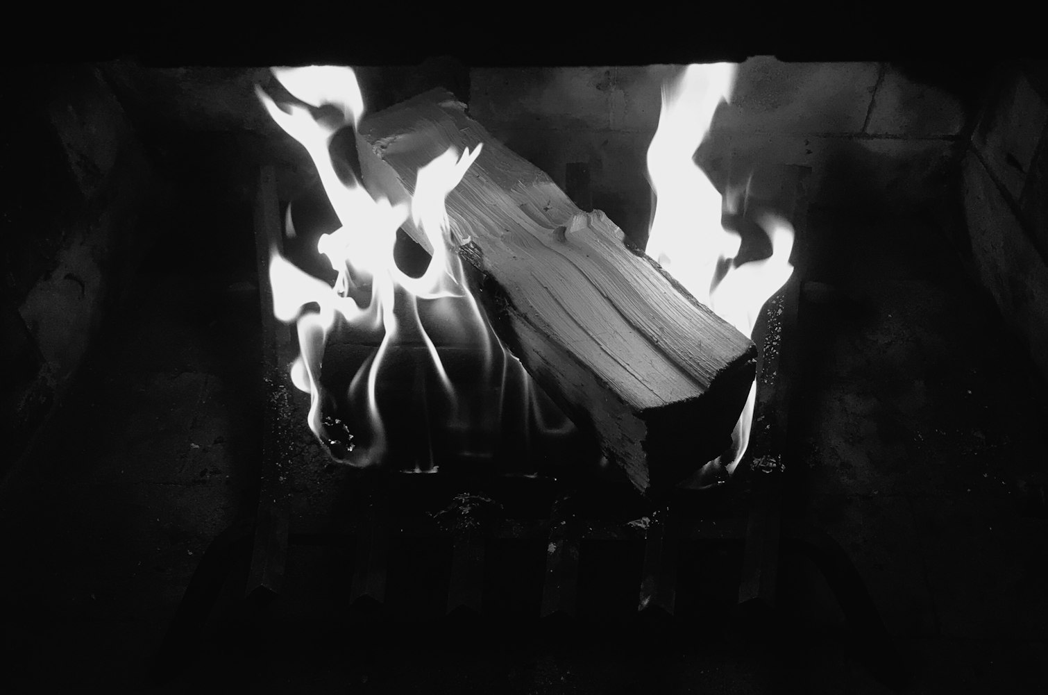 末世之女，一场生死冒险