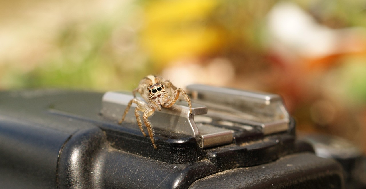 玩游戏显卡温度90，解锁游戏幸福感与硬件优化的黄金钥匙