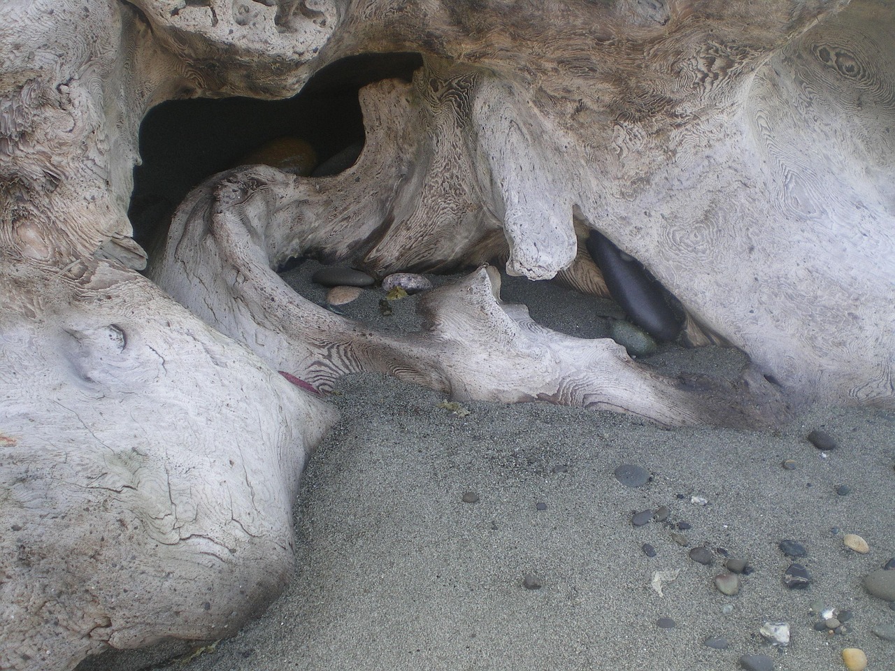 和饥饿鲨差不多的游戏——比饥渴漂流更有趣