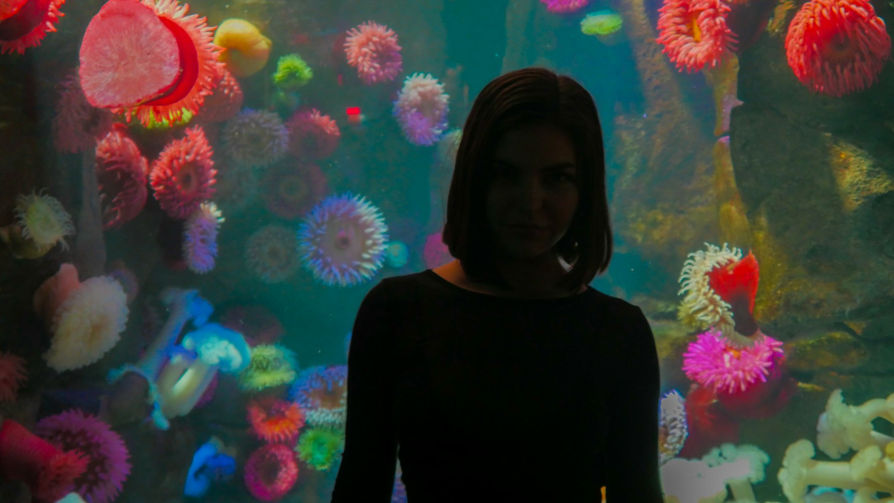 妈妈隐藏我的游戏12，一场藏在生活中的甜蜜冒险