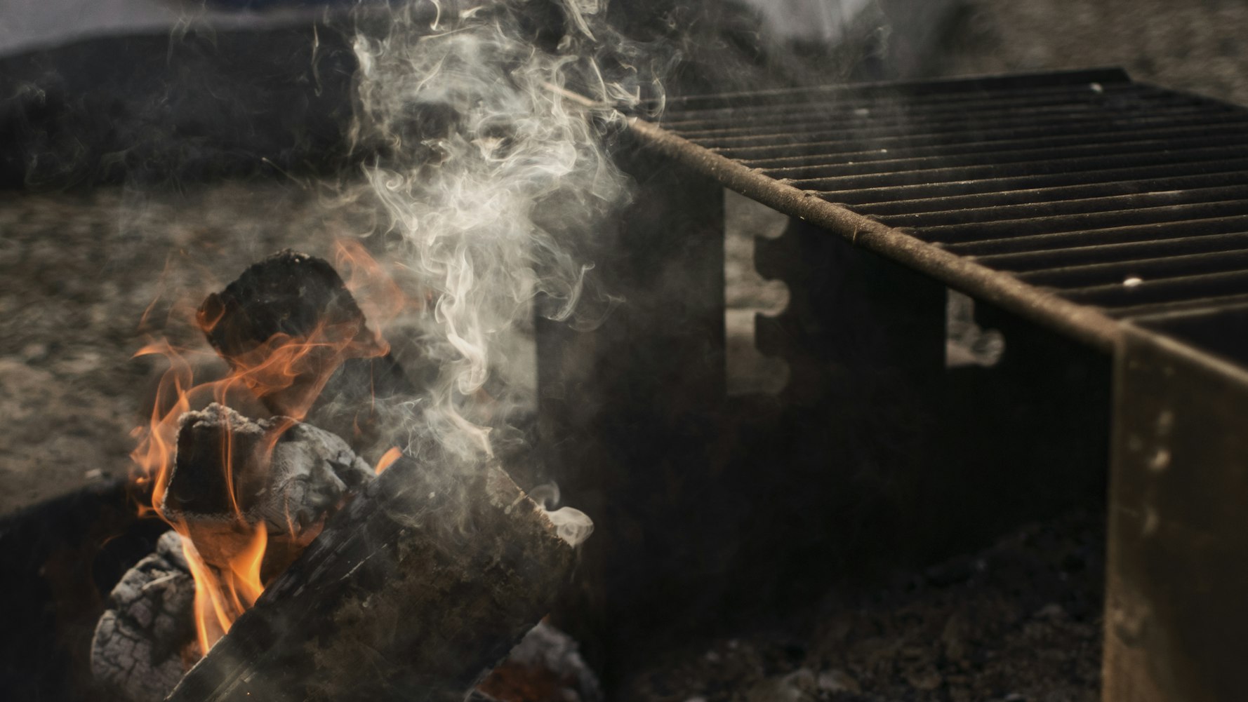 森林冰火人小游戏，一场逃离自然与探索的奇妙冒险