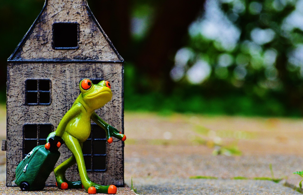 最囧游戏1攻略，解锁新玩法，告别生死之境